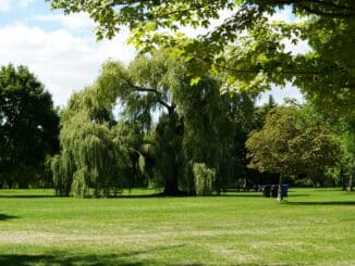 Parks, large gardens