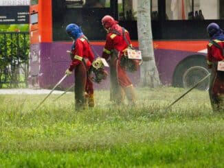 tractorsby